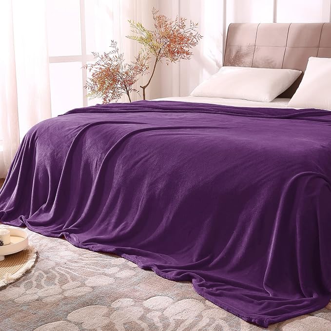 BEDELITE Fleece Blanket Soft Plush Queen Size Bed Blanket Purple 90"x90" | Ultra Soft Fleece, Plush Microfiber, Lightweight Warmth, All Season Comfort, Fade Resistant, Machine Washable,Perfect for Bed