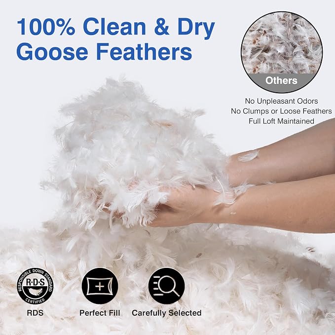 Feather Pillows Queen Size Set of 2 - Goose Down Hotel Bed Pillow for Sleeping, Soft Organic Cotton Shell Cover, Fluffy Support Surround Fill Polyester for Side, Back and Stomach Sleepers