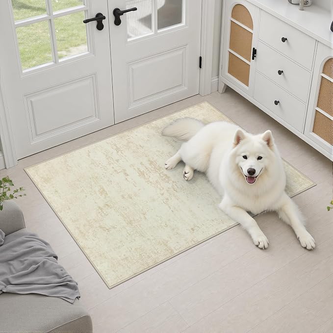 2x3 Washable Entryway Rug: Modern Abstract Indoor Soft Carpet Beige | For Entrance, Bedroom, Kitchen, Laundry, Bathroom,Door Mat,Modern Abstract,Machine washable,Non-Slip,Stain Resistant,Indoor