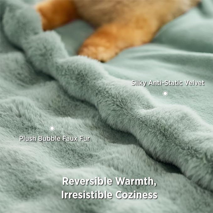 Bedsure GentleSoft Bubble Faux Fur Blankets Queen Size, Fluffy Fuzzy Queen Blanket for Bed, Soft Cozy Faux Fur Bedding for Winter, Thick Warm Plush Bed Cover, Sage Green, 90x90