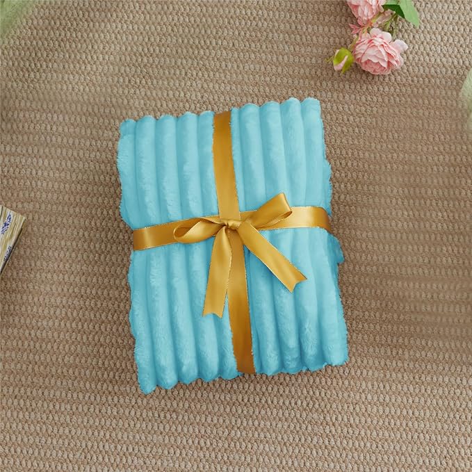 BEDELITE Ribbed Twin Blanket for Couch & Bed, Sky Blue, 60"x80" | Ultra-Soft Plush Fleece, Cozy, Warm Yet Lightweight, Ribbed Texture, Home Decor, Machine Washable, Giftable, All-Season Use