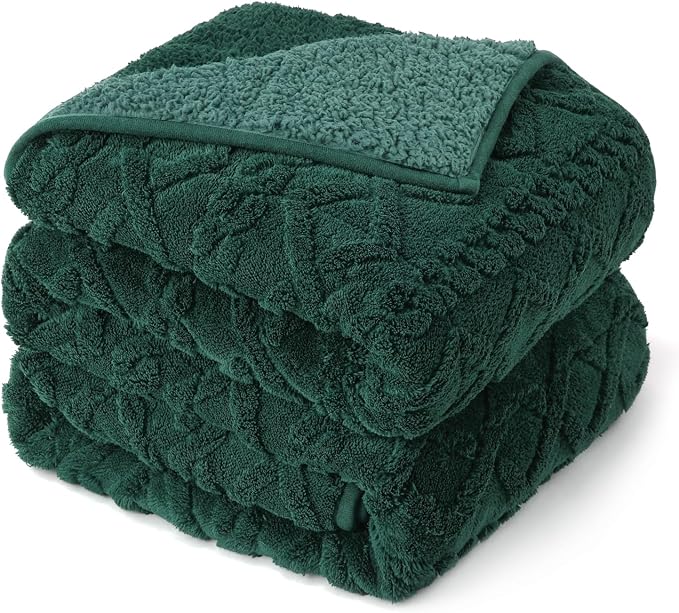 Drewin Weighted Blanket Queen Size 15lbs for Adults,Dark Green,60" x 80" | Stress Relief & Better Sleep,Soft Jacquard Sherpa with Glass Beads,Machine Washable,Great for Napping,Relaxing,Reading