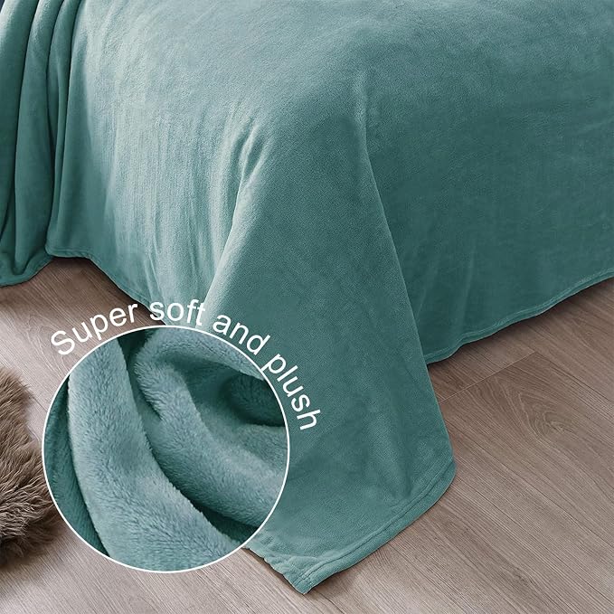 Exclusivo Mezcla Soft Fleece Throw Blanket for Couch, Celadon | 50x60 Inches, Double-Sided Brushed Flannel, Lightweight Plush Cozy Blanket for Home Decor, All Season, Machine Washable