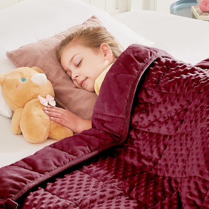 Weighted Blanket - 2 lbs Burgundy Minky Heavy Blanket, 20"x30", Small Size Breathable Lap Blanket