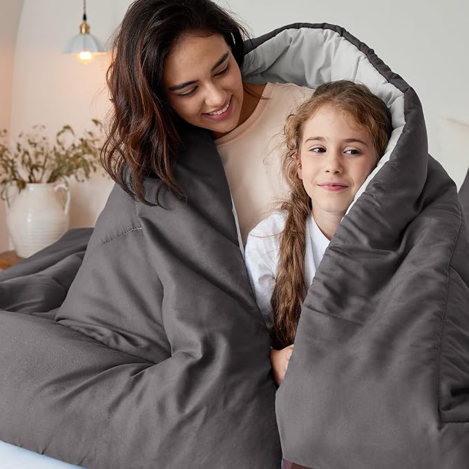 Exclusivo Mezcla Reversible Soft Twin Comforter Set, 2 Pieces | Grey Lightweight Microfiber Down Alternative Comforters, All-Season Bedding with 1 Pillow Sham