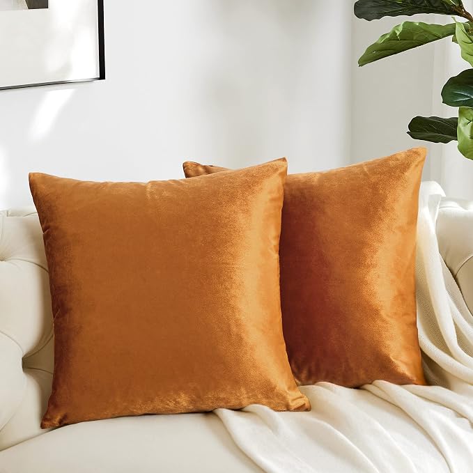 GIGIZAZA Decorative Throw Pillow Covers 20 x 20, Cinnamon Burnt Orange Sofa Pillow Covers Velvet, Set of 4 Decor Square Cushion Covers