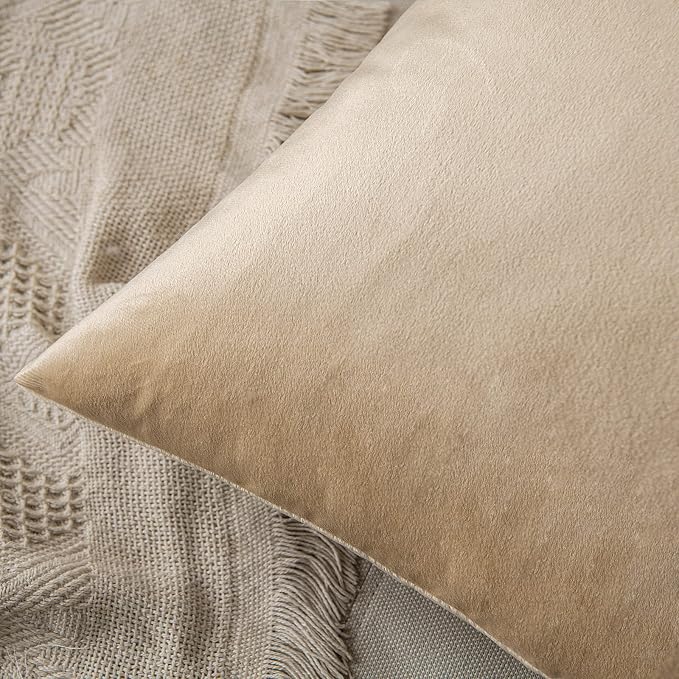 MIULEE 12x20 Inch Lumbar Velvet Throw Pillow Covers Beige | Pack of 2 Soft Solid Decorative Pillow Covers, Modern Luxury Home Decor, for Chair Couch Sofa Bedroom Livingroom