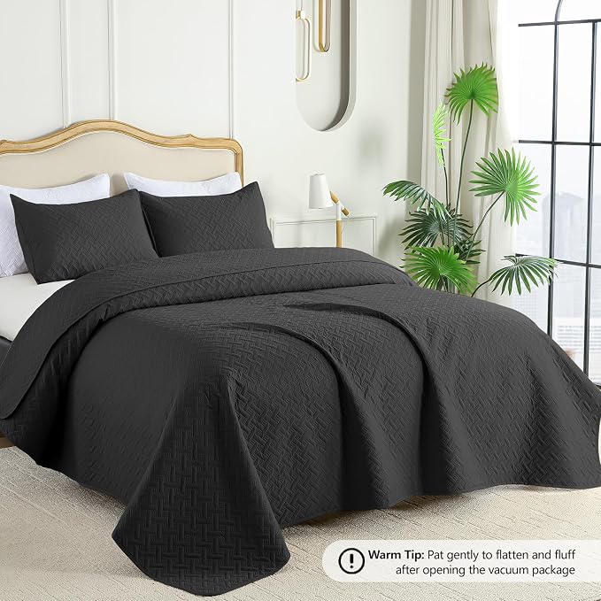 FLYMME Queen Quilt Bedding Set Black Lightweight Bedspreads Full Size,Soft Microfiber Bed Coverlet for All Season (1 Quilt, 2 Shams)