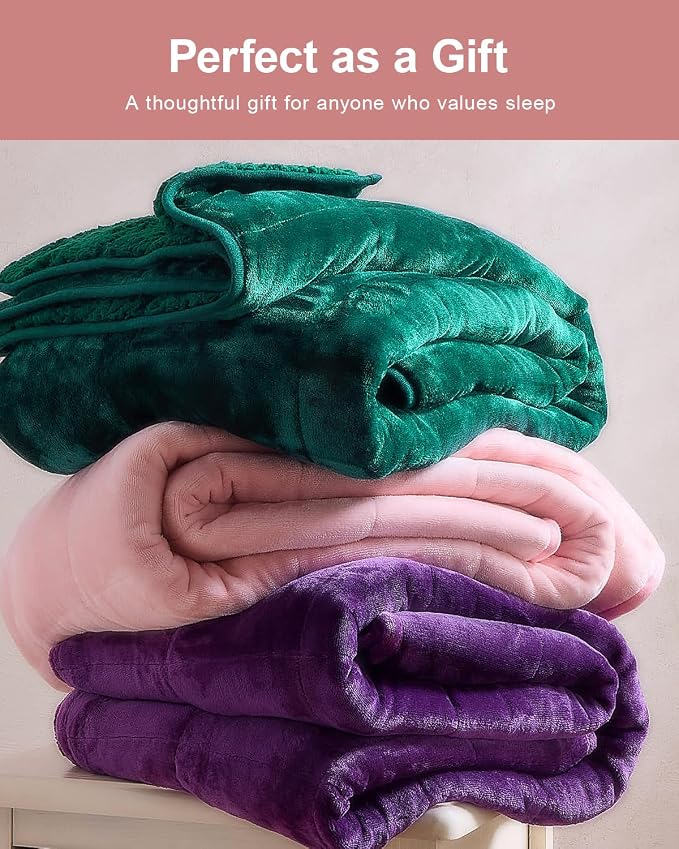Ultra Soft Sherpa Weighted Blanket for Adults, 60"x80" 17lbs Heavy Blankets | Cozy Comfort for Relaxing Nights, Double-Sided Fluffy Sherpa & Fleece, Double Inner Layers-No Bead Bunching, Even Weight