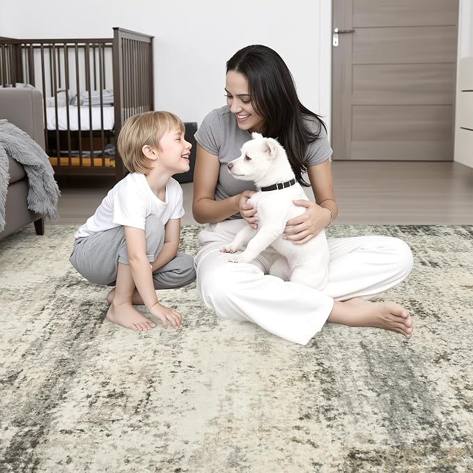 6x9 Area Rug Living Room: Modern Washable Soft Carpet Ash Brown | For Bedroom Dining Room Farmhouse Nursery Hallway Office,Modern Abstract,Machine washable,Non-Slip,Stain Resistant,Indoor