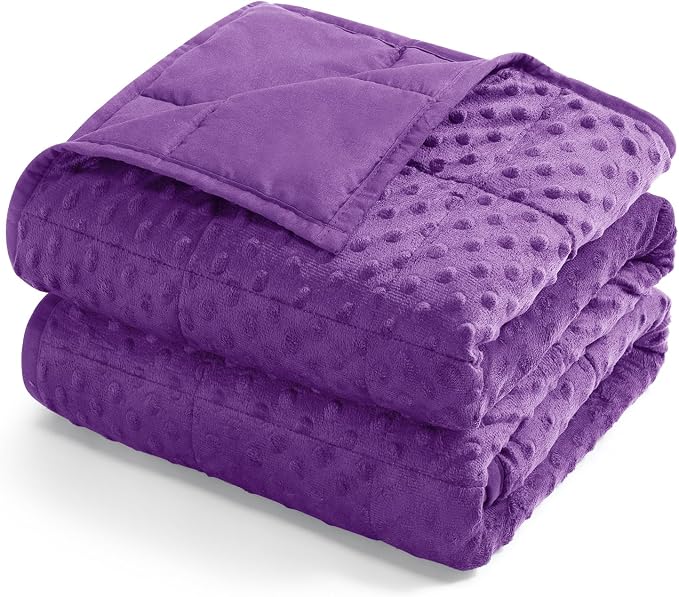20lbs Weighted Blanket for Adults, 60"x80" Queen Size Heavy Blankets | Soft Raised Minky Dot Texture, Reversible Cooling & Cozy for All Seasons, 7-Layer Design for Even Weight, Machine Washable