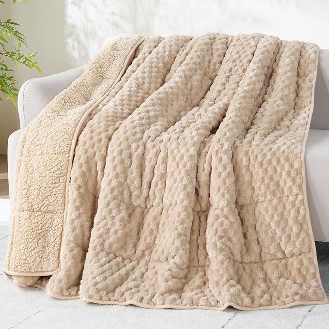 Drewin 20lbs Weighted Blanket Queen Size for Adults,Beige,60 x 80 inches | Stress Relief & Promotes Sleep,Cozy Heavy Throw Blankets,Soft Jacquard Sherpa with Glass Beads,Machine Washable