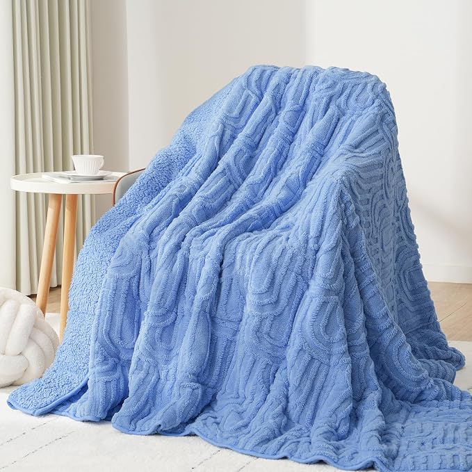 Drewin Weighted Blanket Queen Size 15lbs for Adults,Sky Blue,60" x 80" | Stress Relief & Better Sleep,Soft Jacquard Sherpa with Glass Beads,Machine Washable,Great for Napping,Relaxing,Reading