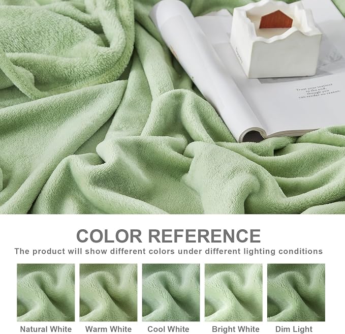 Hansleep Queen Sage Green Fleece Blanket, Soft Flannel Bed Blanket | Fuzzy Cozy Blanket 90x90 Inches, Multi-use for Bed, Sofa, Couch, Travel, Camping, All Season Warm Lightweight Cover