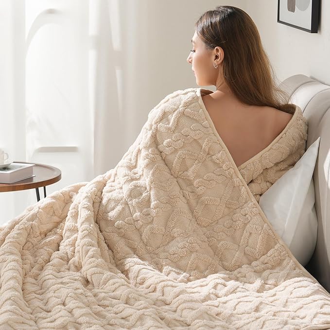Drewin Weighted Blanket for Adults 48" x 72" 12lbs Fuzzy Blankets Beige | Stress Relief & Better Sleep,Soft Jacquard Sherpa Fleece Heavy Blanket Queen Size, Machine Washable,for Napping & Relaxing