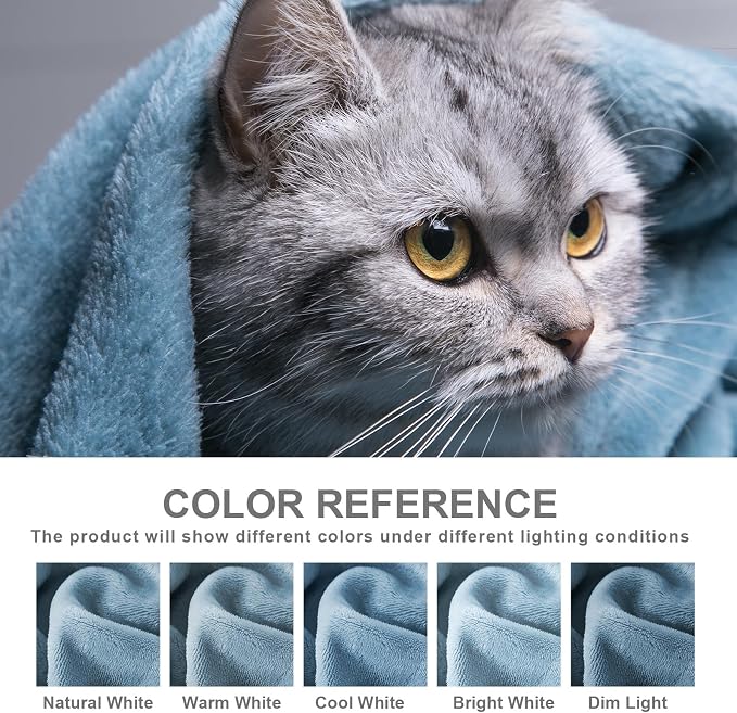 Hansleep Twin Washed Blue Fleece Blanket, Soft Flannel Bed Blanket | Fuzzy Cozy Blanket 60x80 Inches, Multi-use for Bed, Sofa, Couch, Travel, Camping, All Season Warm Lightweight Cover