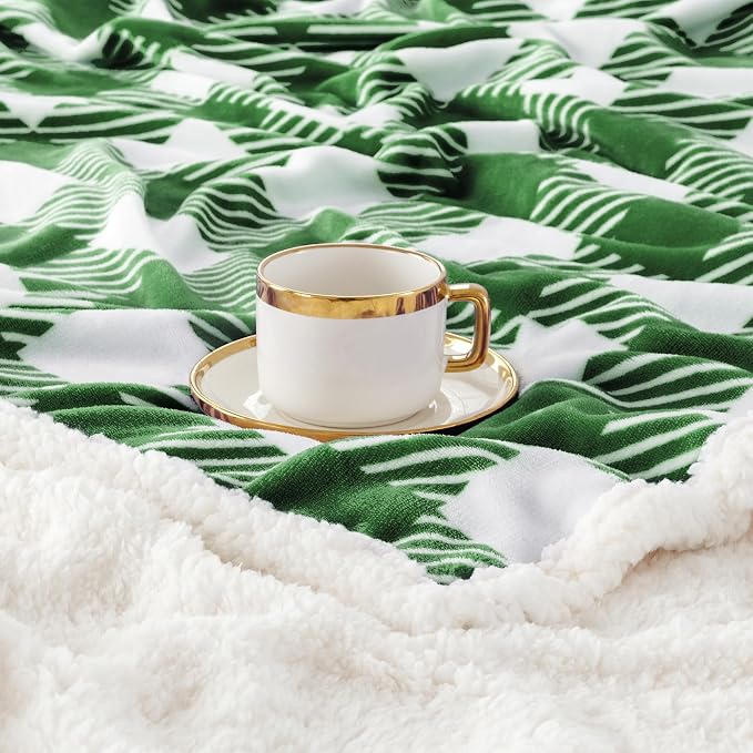 Sherpa Plaid Twin Blanket 60" X 70", Fuzzy Fluffy Soft Cozy Throw Blanket, Twin Size Plush Fleece Flannel Plush Microfiber Blanket for Couch Bed Sofa (GreenWhite)