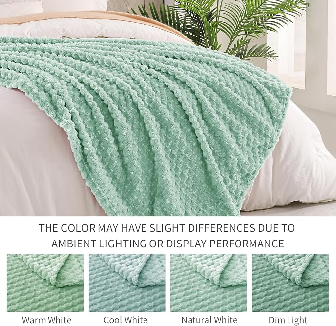 Exclusivo Mezcla 3D Fleece Queen Size Blanket for Bed, Sage Green | Extra Soft Fuzzy Plush Lightweight Bed Blankets, Cozy Fluffy Decorative Blankets for All Seasons, 90x90 Inches