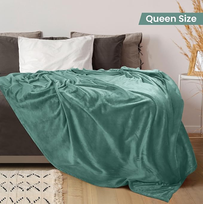 Utopia Bedding Soft Fleece Bed Blanket Queen Size Celadon (90x90 Inch) | Microfiber Plush Warm Lightweight Breathable Cozy Blanket Anti-Static, All Season Use, Gift for Women and Men