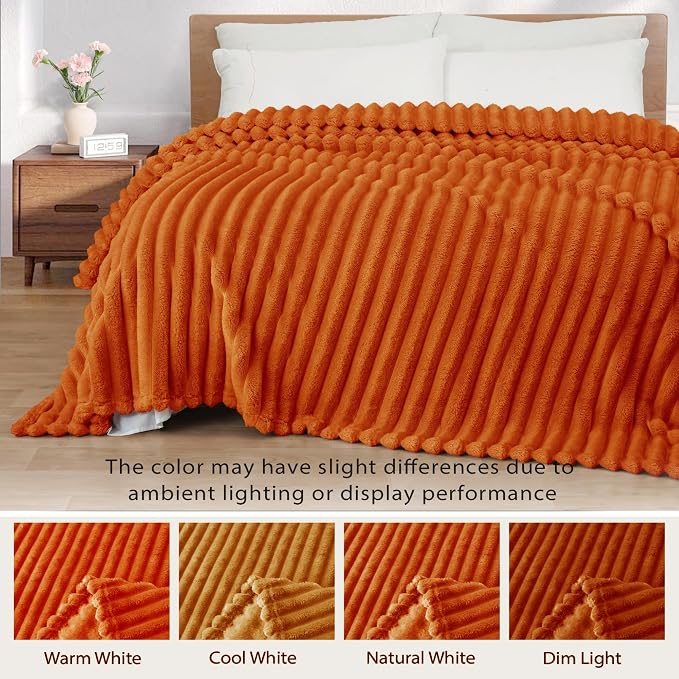 Exclusivo Mezcla Striped Twin Size Fleece Blanket for Bed, Couch, 60"x80" | Soft Breathable Cozy Bed Blankets, Lightweight Plush Fluffy Fuzzy Jacquard Decorative Blankets