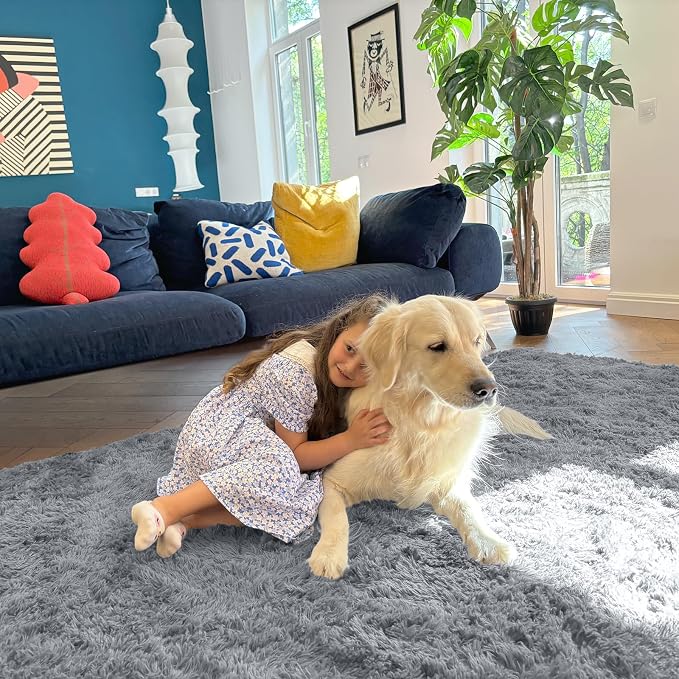 OLANLY Area Rugs for Living Room Bedroom, Machine Washable 4x5.9 ft Soft Fluffy Shaggy Bedside Rug, Indoor Floor Carpet for Kids Girls and Boys, Dorms, Nursery Rooms, Home Decor, Silver Grey