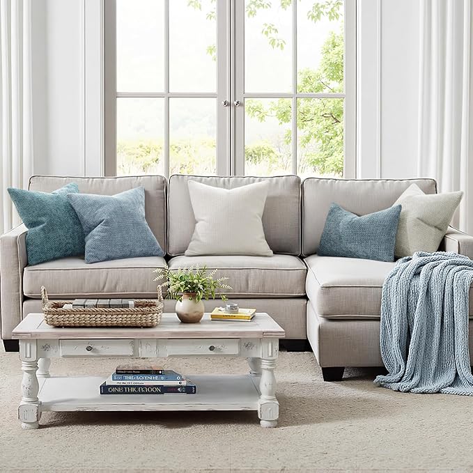 MIULEE Decorative Couch Throw Pillow Covers 20x20 Inch Light Blue 2 Pack | Coastal Modern Boho Accent, Soft Chenille Pillow Covers, Farmhouse Cushion Cases for Home Decor Bed Sofa Living Room
