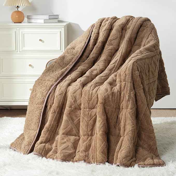 Mr. Sandman Weighted Blankets for Adults, Queen Size 60 x 80 Inches, 15lbs | Machine Washable; Soft Warm Sherpa Fleece; Fluffy Jacquard with Glass Beads; Heavy Throw for Sleep and Calm; Warm Taupe