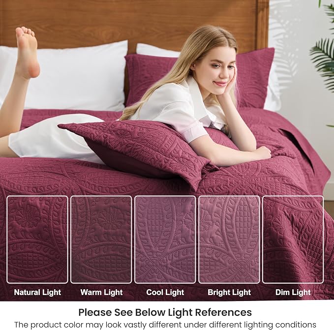 Love's cabin King Size Quilt Bedding Set Burgundy Bedspreads - Bed Lightweight Bedspread Comforter - Coin Pattern Bedding Coverlet for All Season - 3 Pieces (1 Quilt, 2 Pillow Shams)