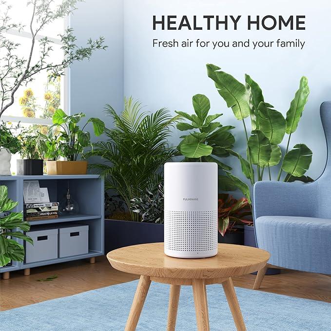 Air Purifiers for Bedroom, FULMINARE H13 True HEPA Filter | Remove Pet Hair, Smoke, Odors，Quiet Air Cleaner With Night Light, Portable Small Air Purifier for Home, Office, Living Room