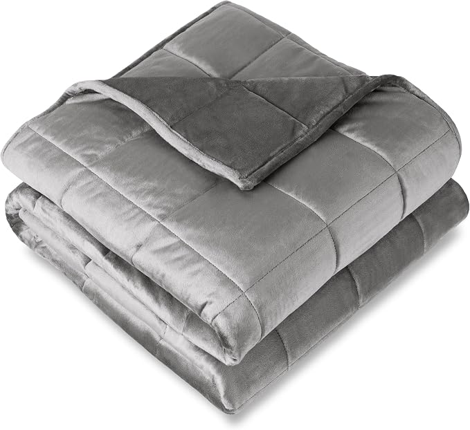 Bare Home Minky Fleece Weighted Blanket (Light Grey, 60"X80" 22lbs) | Queen Size for Adults, Minky Fleece, Premium Heavy Blanket Nontoxic Glass Beads