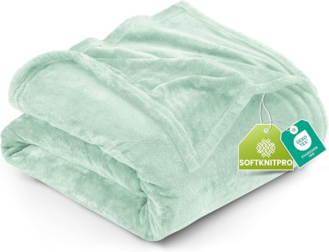 Utopia Bedding Soft Fleece Bed Blanket Queen Size Mint Green (90x90 Inch) | Microfiber Plush Warm Lightweight Breathable Cozy Blanket Anti-Static, All Season Use, Gift for Women and Men
