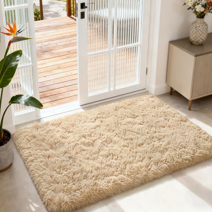 Modern Soft Fluffy Small Shaggy Rug for Bedroom Livingroom, Soft Non-Slip Kids Room Entryway Throw Rugs, Plush Furry Fur Area Rugs Comfy Nursery Accent Floor Carpet 2x3 Feet, Beige