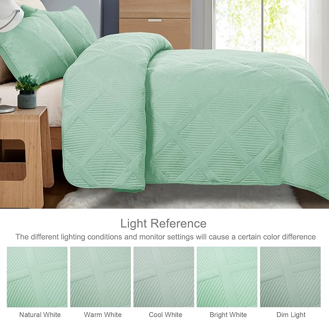 Exclusivo Mezcla Quilts Queen Size, Light Green | Soft Bedspreads with 2 Pillow Shams, Modern Striped Pattern, Lightweight Bedding Set Coverlets for All Seasons, 90x96 Inch