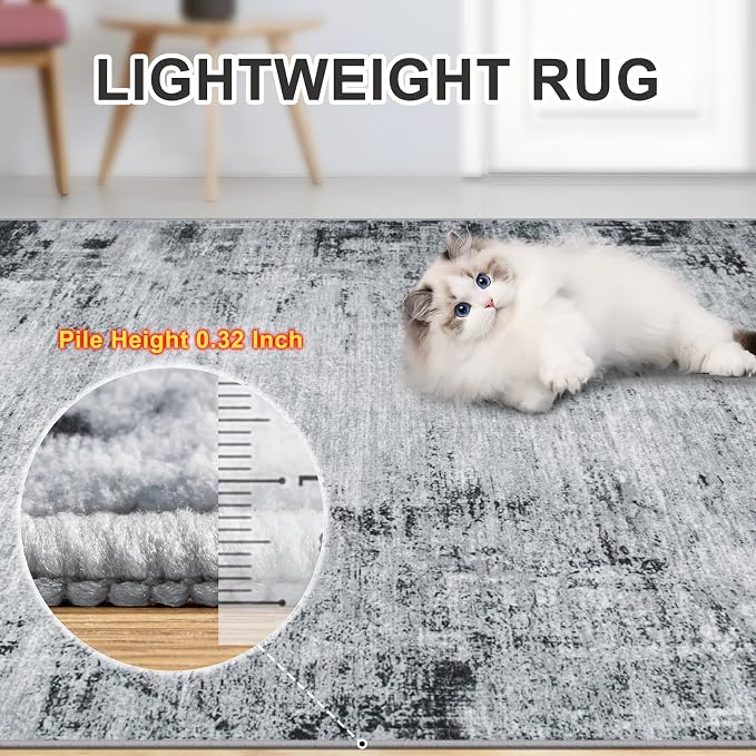 PLHXFR 10x14 Area Rug Living Room: Modern Abstract Washable Carpet Black | For Bedroom Dining Room Farmhouse Nursery Home,Machine washable,Non Slip,Large Soft Neutral,Stain Resistant, Indoor Floor