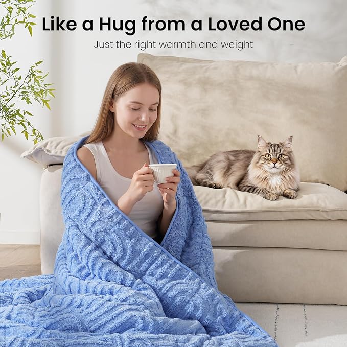 Drewin Weighted Blanket Queen Size 15lbs for Adults,Sky Blue,60" x 80" | Stress Relief & Better Sleep,Soft Jacquard Sherpa with Glass Beads,Machine Washable,Great for Napping,Relaxing,Reading