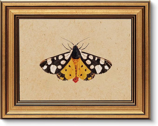 VIYYIEA Vintage Gold Framed Wall Art for Living Room, Arctia Caja Canvas Prints Home Decor, Oil Painting Picture, Bedroom Wall Decor Gifts for Friends or Family -【Arctia Caja】-(10L x 8W)