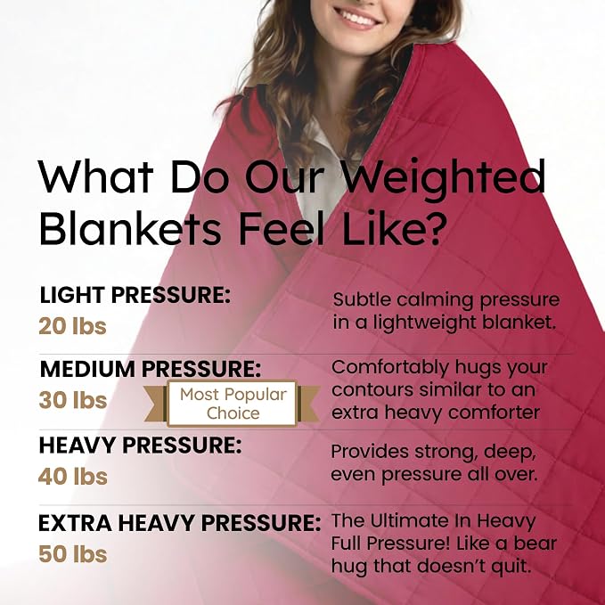 HomeSmart Queen Size Weighted Blanket 30 lbs - Breathable Ultra Soft Fabric | Evenly Distributed Medium Pressure Comforting Weight Stays Balanced, Generous Overhang, No Shifting Weight, Machine Washable