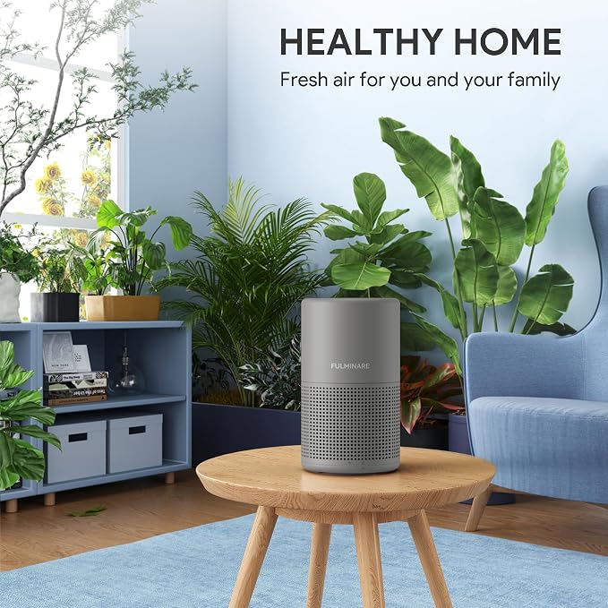 FULMINARE Air Purifiers for Home H13 True HEPA Air Filter (Gray 2 Pack) | Remove Pet Hair, Smoke, Odors，Quiet Air Cleaner With Night Light, Portable Small Air Purifier for Home, Office, Living Room