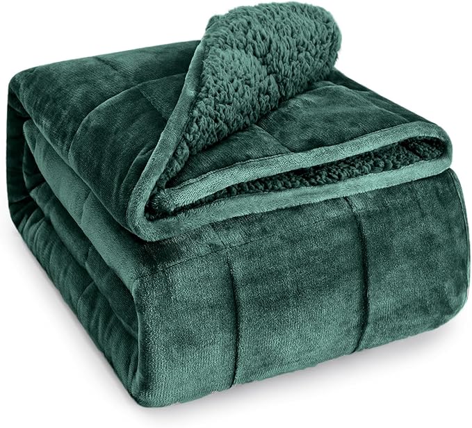 Sherpa Fleece Weighted Blanket for Adult 15 lbs Queen 60"x80" Green | Better Sleep, Relax Body & Mind, Dual Sided Soft Fuzzy Heavy Throw Blankets, Plush Flannel Top, Chunky Fluffy, Warm Hug