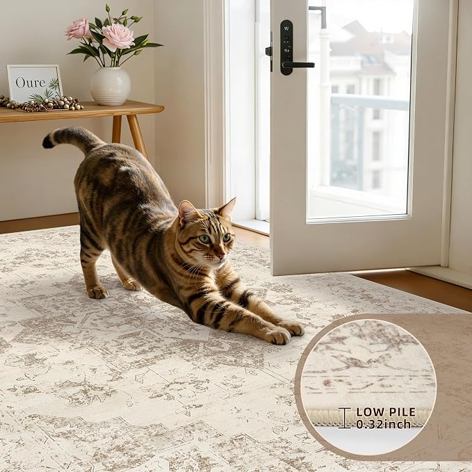 6x9 Area Rugs Living Room: Bedroom Washable Carpet Beige/Ivory | Vintage Boho Soft Small Indoor Decor Floor Non-Slip Low Pile Neutral Farmhouse Entryway Laundry Bathroom Bedroom Beside Rugs