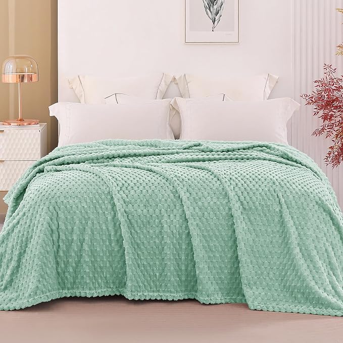 Exclusivo Mezcla 3D Fleece Queen Size Blanket for Bed, Sage Green | Extra Soft Fuzzy Plush Lightweight Bed Blankets, Cozy Fluffy Decorative Blankets for All Seasons, 90x90 Inches