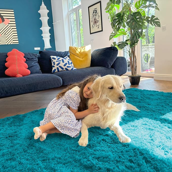 OLANLY Area Rugs for Living Room Bedroom, Machine Washable 4x5.9 ft Soft Fluffy Shaggy Bedside Rug, Indoor Floor Carpet for Kids Girls and Boys, Dorms, Nursery Rooms, Home Decor Aesthetic, Teal