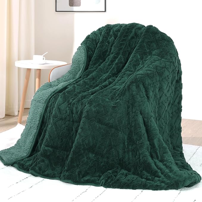 Drewin Weighted Blanket Queen Size for Adults 15lbs,Dark Green,48" x 72" | Great for Sleep Natural and Relaxing，Soft Jacquard Sherpa with Glass Beads，Cozy Heavy Throw Blankets，Machine Washable