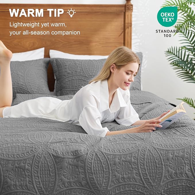 Love's cabin Oversized King Size Quilt Bedding Set Grey Bedspreads - Oversized King Lightweight Bedspread Comforter - Coin Pattern Coverlet for All Season - 3 Pieces (1 Quilt, 2 Pillow Shams)