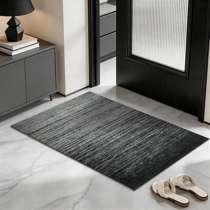 LIANLAM 2x3 Silver Infused Self-Cleaning Rug for Kitchen (2x3,Black) | NASA-inspired silver infused fabric washable rug,long-lasting surface freshness, low-pile minimalist versatile home decor