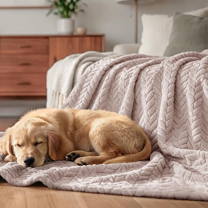 Exclusivo Mezcla Soft Fleece Bed Blanket Queen Size, 90”x90”, Camel | Cozy Fluffy Lightweight Blankets for Summer, Decorative Plush Flannel Throws for Living Room, Bedroom with Leaves Pattern