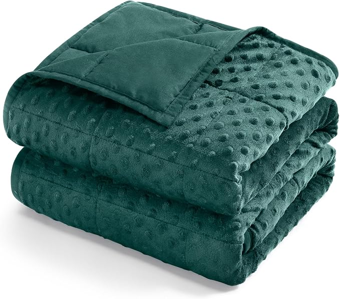 15lbs Weighted Blanket for Adults, 60"x80" Queen Size Heavy Blankets | Soft Raised Minky Dot Texture, Reversible Cooling & Cozy for All Seasons, 7-Layer Design for Even Weight, Machine Washable
