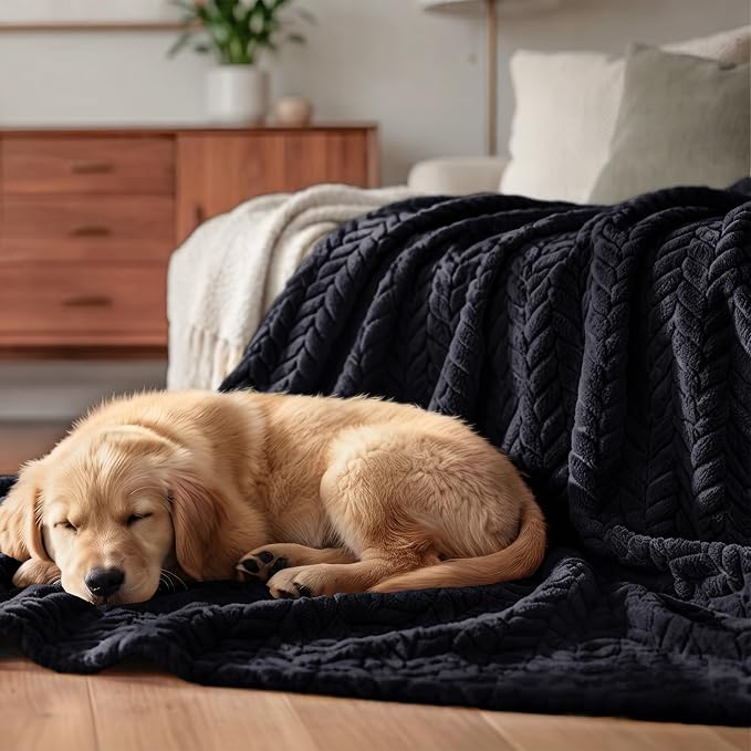 Exclusivo Mezcla Fleece Throw Blanket for Couch Sofa, 50”x70”, Black | Oversized Soft Cozy Fluffy Blankets for Summer, Decorative Plush Flannel Throws for Living Room, Bedroom with Leaves Pattern