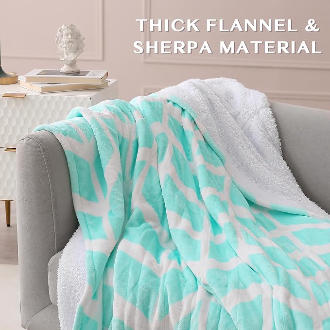 VENTIMI Heated Blanket Queen, 9 Heat Levels & 2-10 Hours Auto Off, Green | ETL & FCC, Dual Controller, 84" × 90", Flannel and Sherpa, Bed Couch Use, Machine Washable, Removable Controller