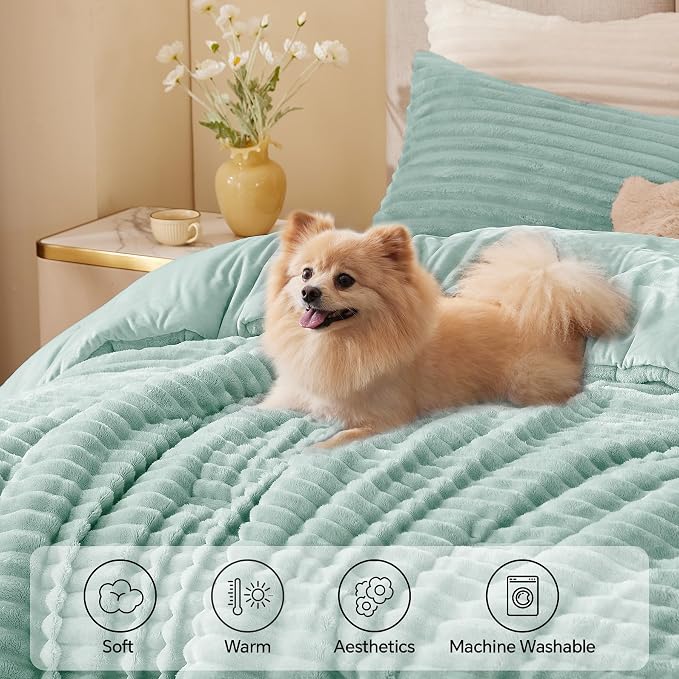 BEDELITE Fleece Queen Comforter Set, Fluffy Bed Set, Light Green | Super Soft & Warm Bedding, Luxury Fuzzy Faux Fur Comforter for Winter, Heavy Plush Bedding, with 2 Pillowcases